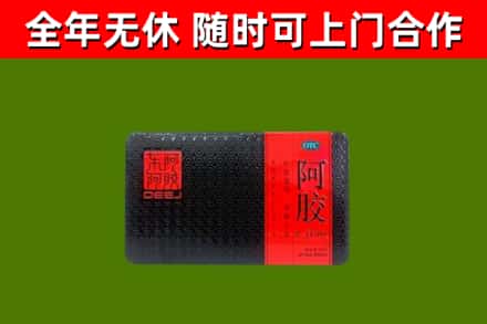 温江区回收阿胶