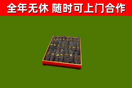 温江区回收海参